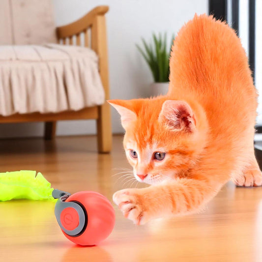 Pelota Interactiva Juguete para Gato