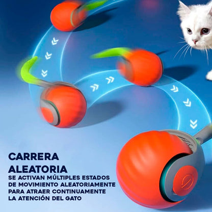 Pelota Interactiva Juguete para Gato
