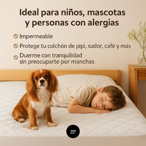 Protector de Colchón Impermeable + 2 Protectores de Almohada