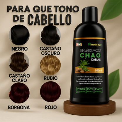 SHAMPOO CHAO  CANAS +TRATMIENTO ORIGINAL