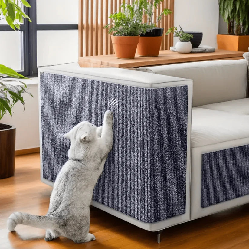 Alfombra resistente a los arañazos