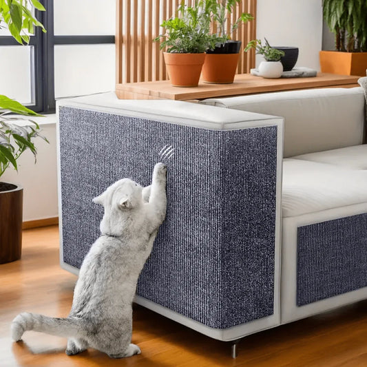 Alfombra resistente a los arañazos