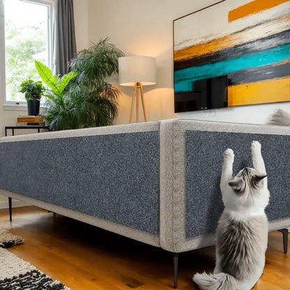 Alfombra resistente a los arañazos