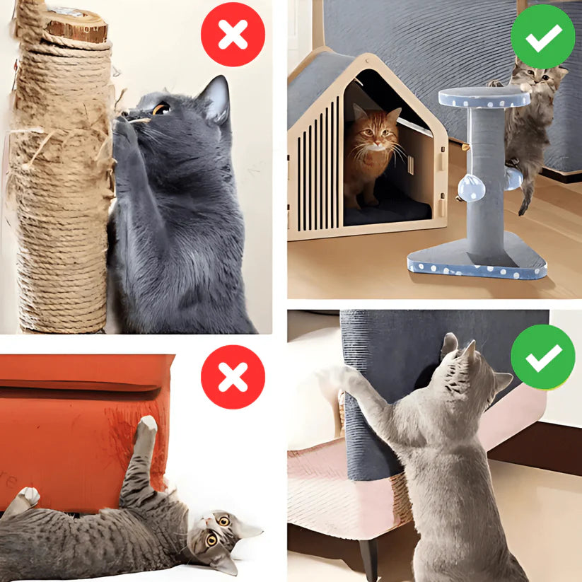 Alfombra resistente a los arañazos